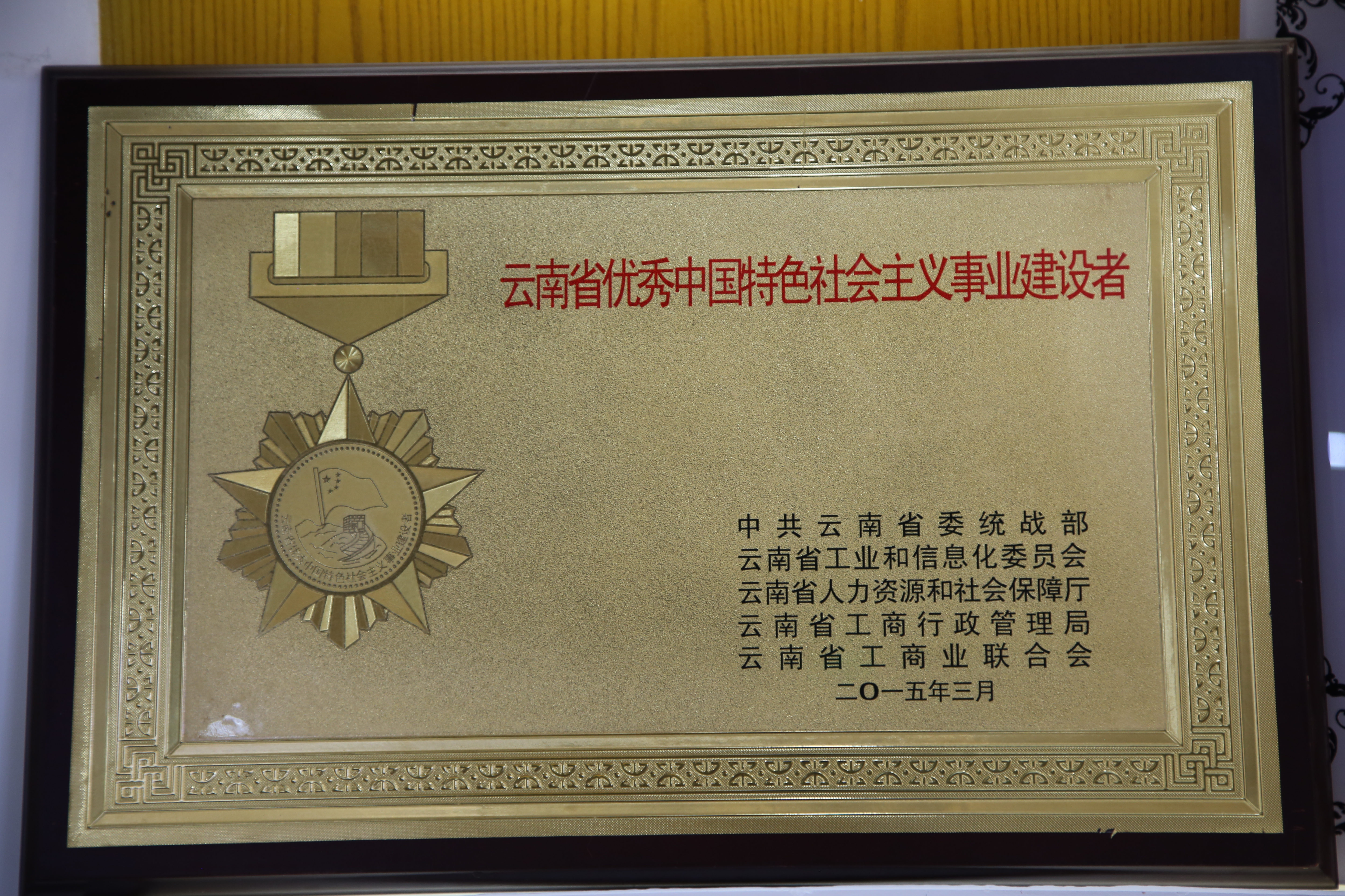 云南省優秀中國特色社會主義事業建造者.JPG